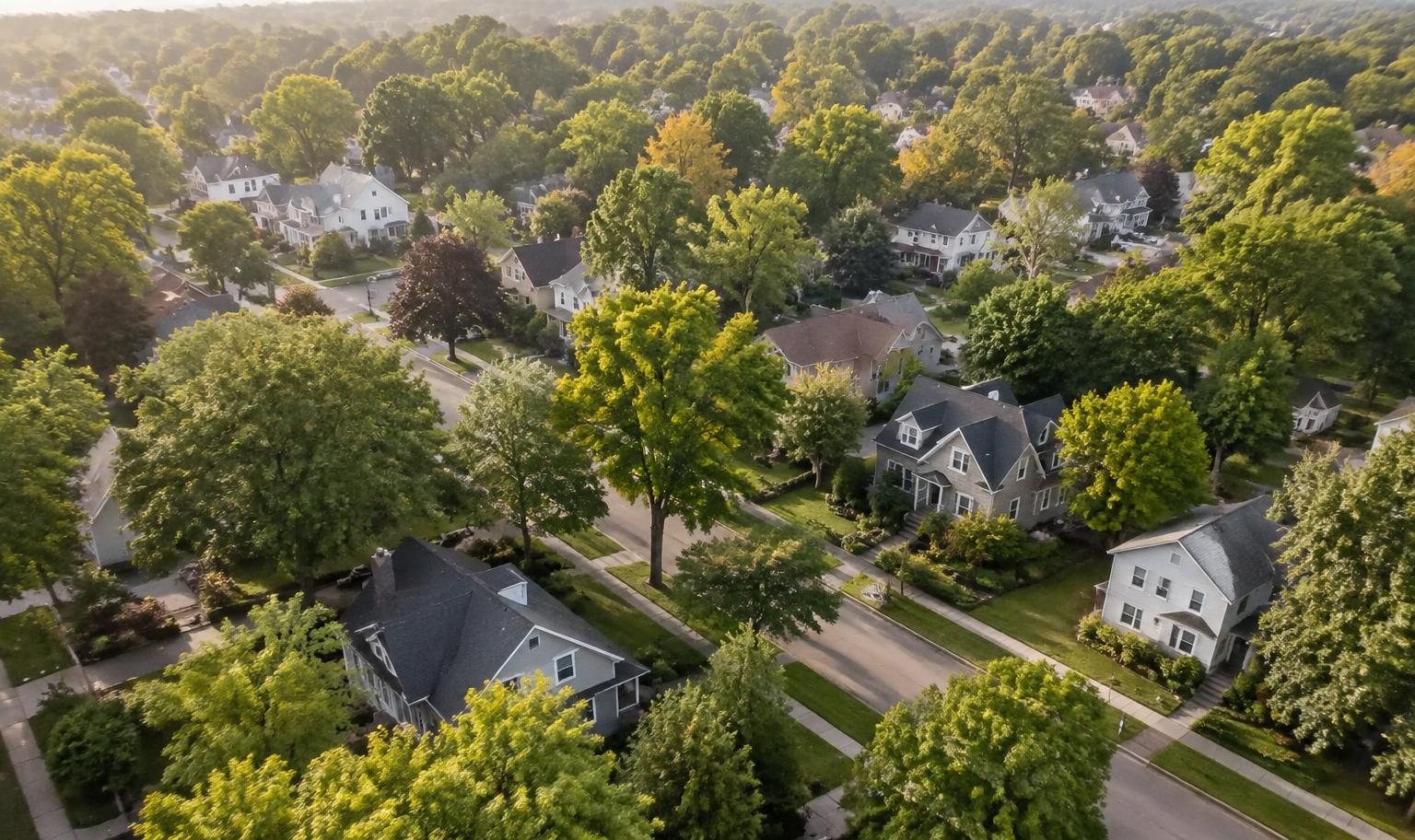 Established tree-lined residential neighborhood